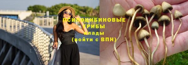 ешки Белокуриха
