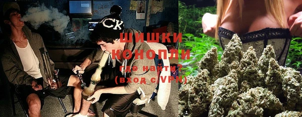 ешки Белокуриха