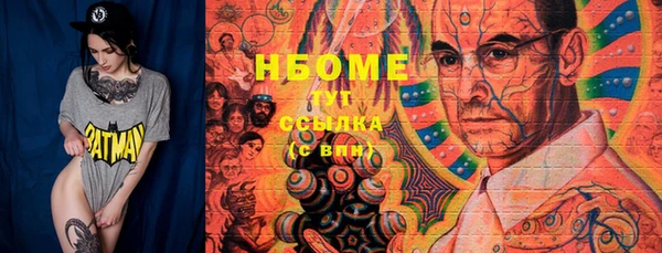 прущие грибы Ельня