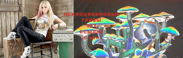 ешки Белокуриха