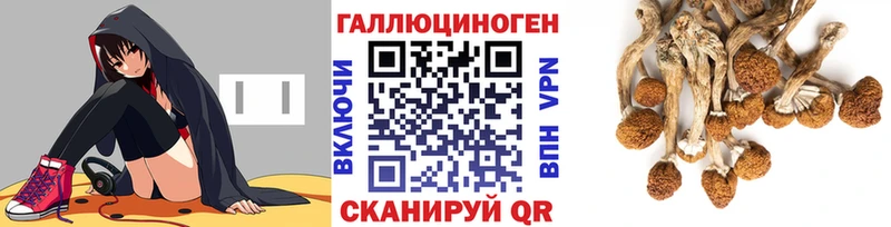 Псилоцибиновые грибы MAGIC MUSHROOMS  Няндома 